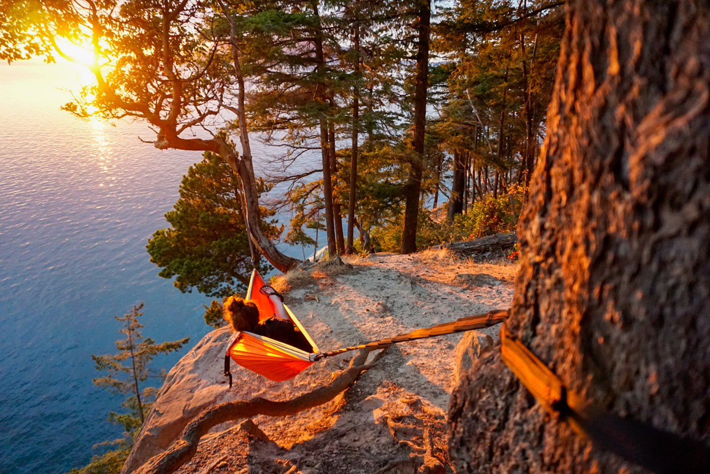 Drift-Nest Camping hammock